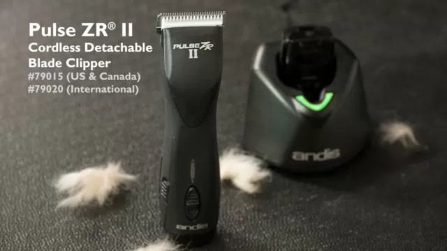 Andis® Pulse ZR® II Detachable Blade Clipper - QC Supply -