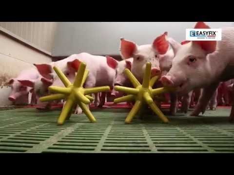 EasyFix® Luna Pig Enrichment Floor Toys - QC Supply -