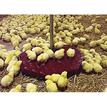 Farm Weigh BAT2 Full Automatic Poultry Scale - QC Supply -
