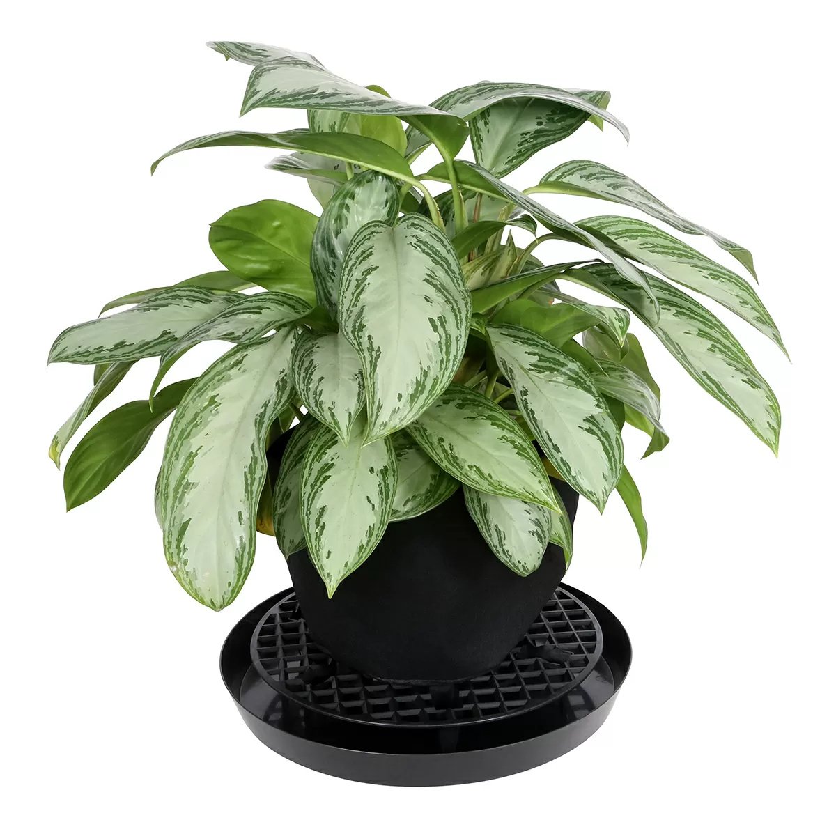 Gro Pro® NX Level® Pot Elevators - 16" - QC Supply -