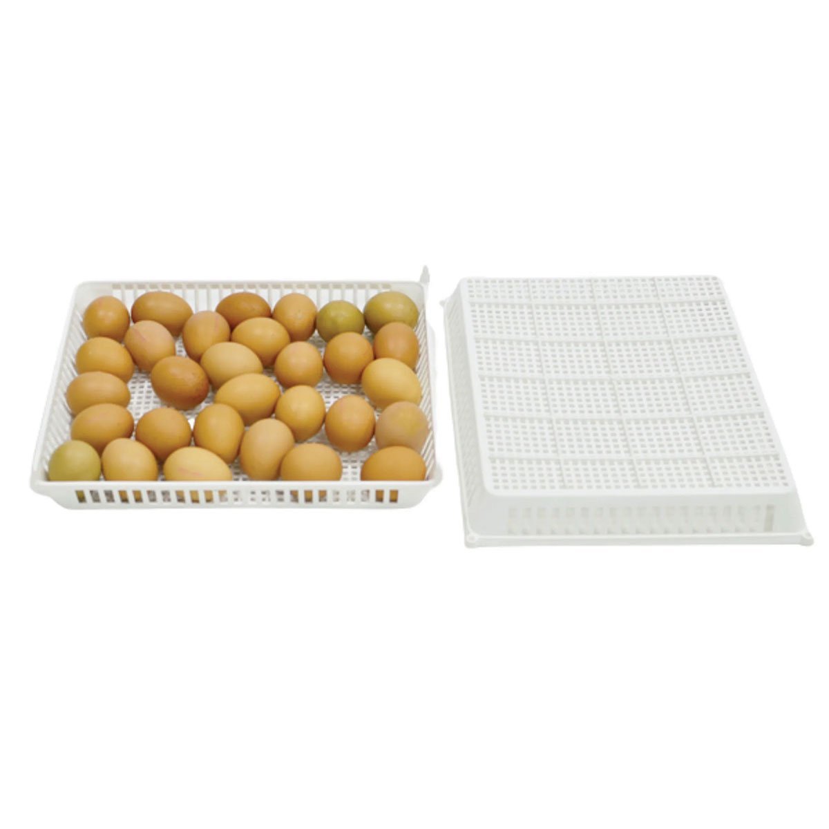 Hatchingtime Hatchery Basket for CT Series Incubators - QC Supply -