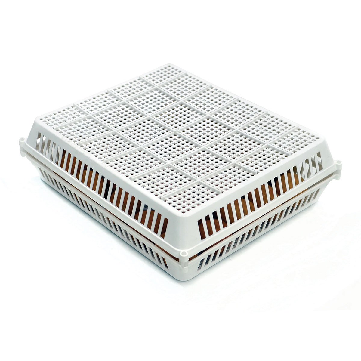 Hatchingtime Hatchery Basket for CT Series Incubators - QC Supply -