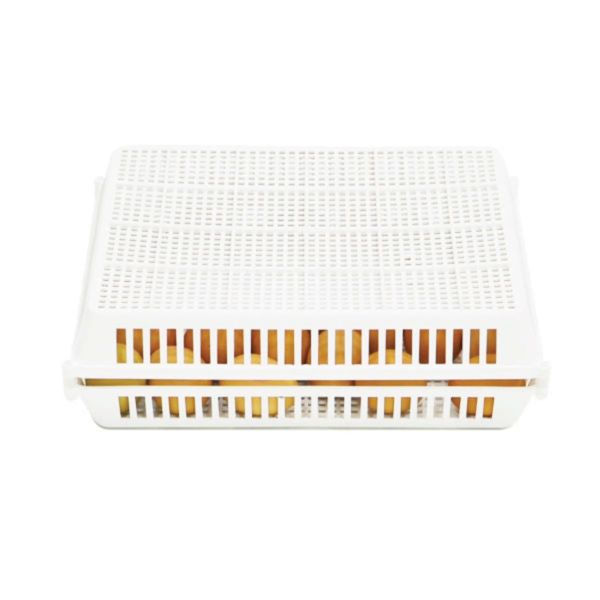 Hatchingtime Hatchery Basket for CT Series Incubators - QC Supply -