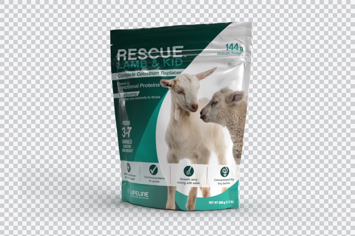 Lifeline® Rescue™ Lamb & Kid Colostrum Replacer (1.3 lb) - QC Supply -