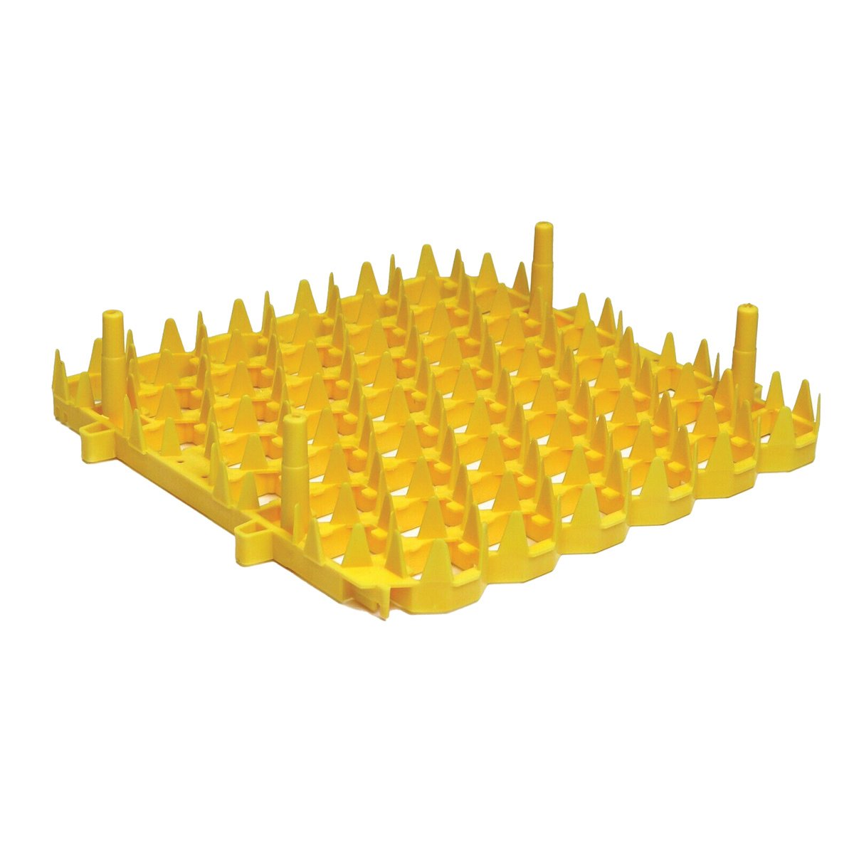 Plastic Universal Egg Racks - 6/Set - QC Supply -