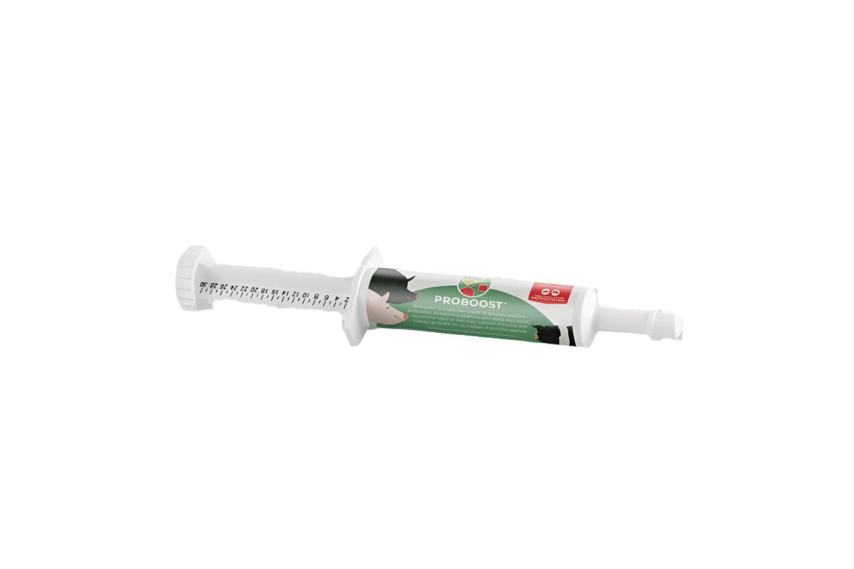 Proboost Probiotic