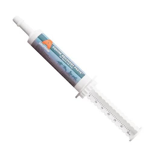 Vitalize® Equine Recovery Paste - 35 mL Tube - QC Supply -