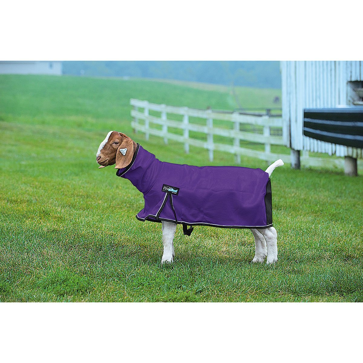 Weaver Leather® ProCool™ Goat Blanket - QC Supply -