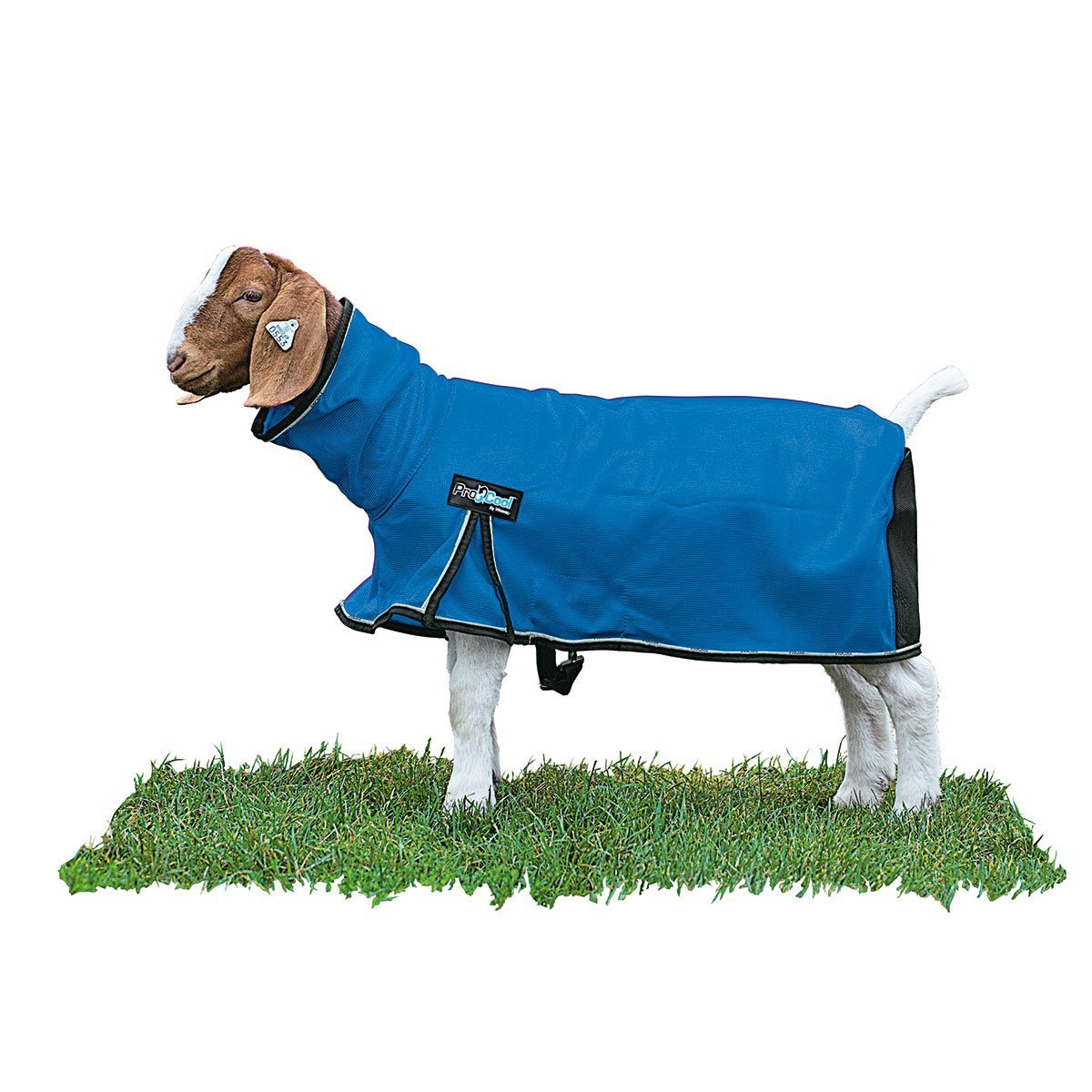 Weaver Leather® ProCool™ Goat Blanket - QC Supply -