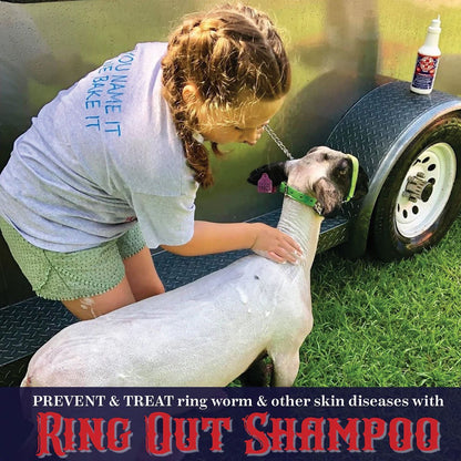 Ring Out Shampoo & Soap - Quart - QC Supply - 