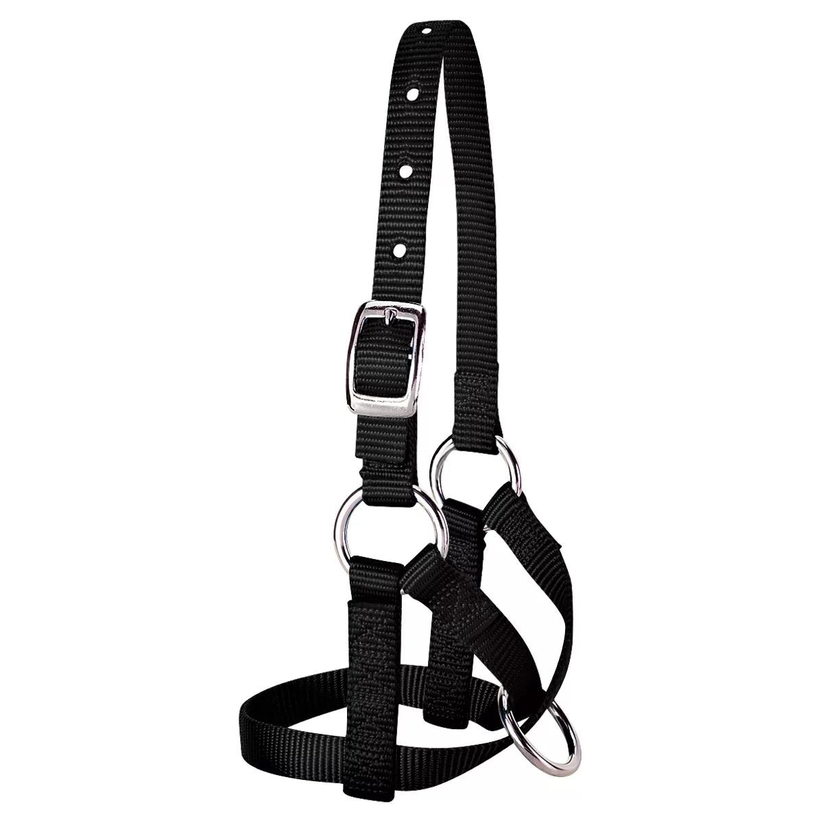 Weaver Leather® 5/8" Black Alpaca Halter - QC Supply - 