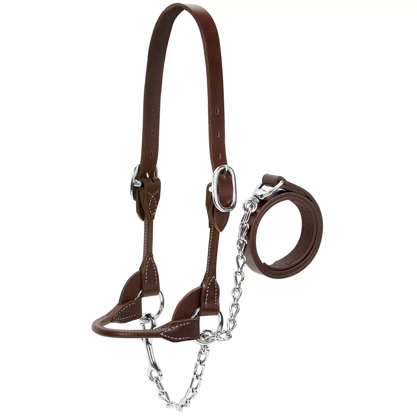 Weaver Leather® Dairy/Beef Rounded Show Halter - Brown - QC Supply - 