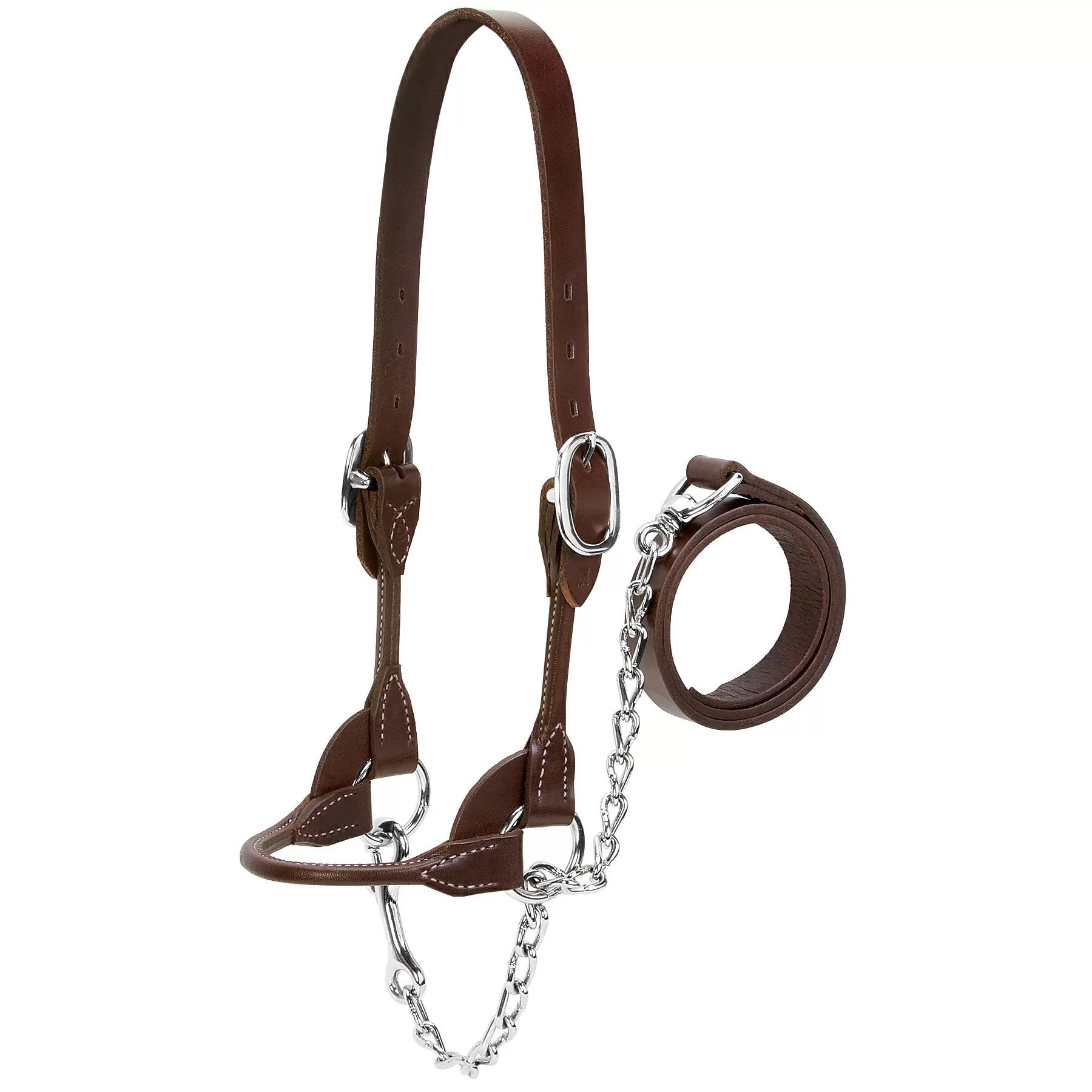 Weaver Leather® Dairy/Beef Rounded Show Halter - Brown - QC Supply - 